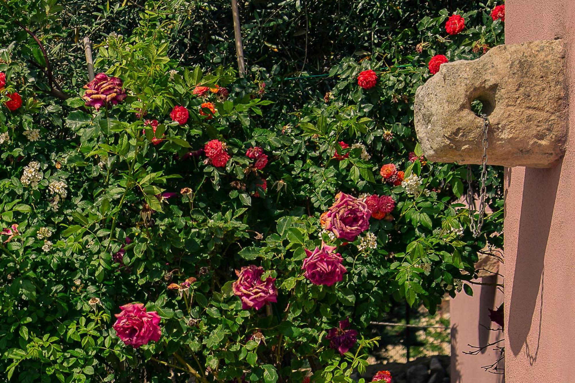 Villa Virginia Ragusa Kültér fotó